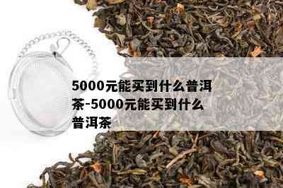 5000元能买到什么普洱茶-5000元能买到什么普洱茶