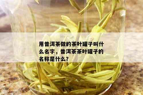 用普洱茶做的茶叶罐子叫什么名字，普洱茶茶叶罐子的名称是什么？