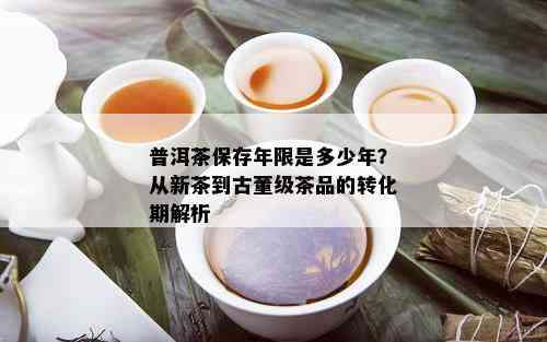 普洱茶保存年限是多少年？从新茶到古董级茶品的转化期解析