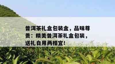 普洱茶礼盒包装盒，品味尊贵：精美普洱茶礼盒包装，送礼自用两相宜！