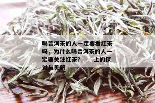 喝普洱茶的人一定要看红茶吗，为什么喝普洱茶的人一定要关注红茶？——上的探讨与见解