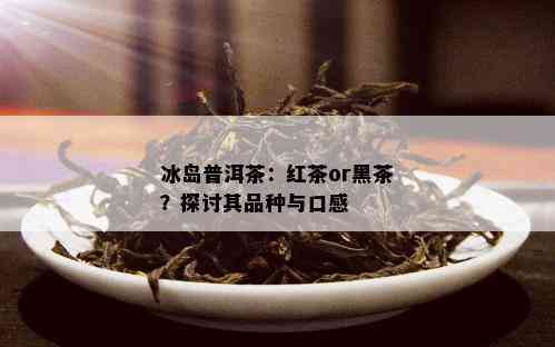 冰岛普洱茶：红茶or黑茶？探讨其品种与口感