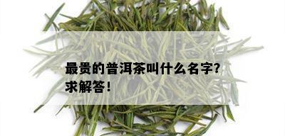 最贵的普洱茶叫什么名字？求解答！