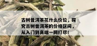 古树普洱茶花什么价位，探究古树普洱茶的价格区间，从入门到高端一网打尽！