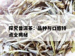 探究普洱茶：品种与口感特点全揭秘