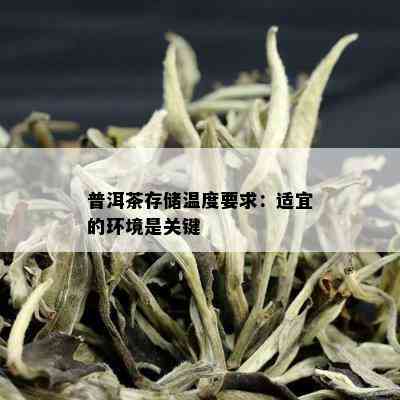 普洱茶存储温度要求：适宜的环境是关键