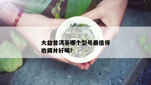 大益普洱茶哪个型号最值得收藏并好喝？