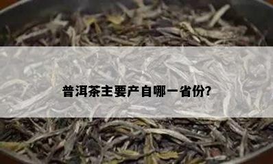 普洱茶主要产自哪一省份？