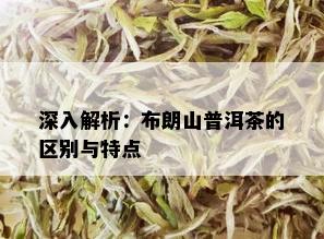 深入解析：布朗山普洱茶的区别与特点