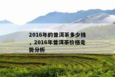 2016年的普洱茶多少钱，2016年普洱茶价格走势分析