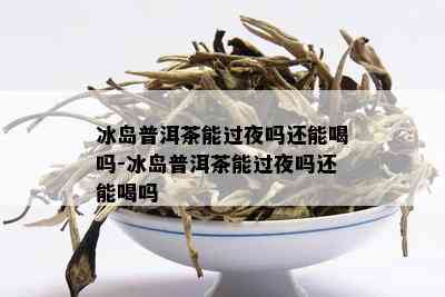 冰岛普洱茶能过夜吗还能喝吗-冰岛普洱茶能过夜吗还能喝吗