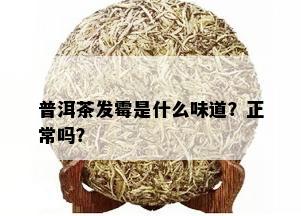 普洱茶发霉是什么味道？正常吗？