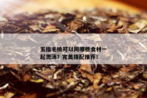 五指毛桃可以同哪些食材一起煲汤？完美搭配推荐！