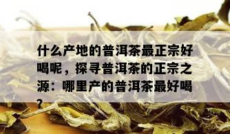 什么产地的普洱茶最正宗好喝呢，探寻普洱茶的正宗之源：哪里产的普洱茶更好喝？