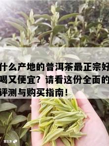 什么产地的普洱茶最正宗好喝又便宜？请看这份全面的评测与购买指南！