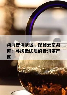 勐海普洱茶区，探秘云南勐海：寻找更优质的普洱茶产区