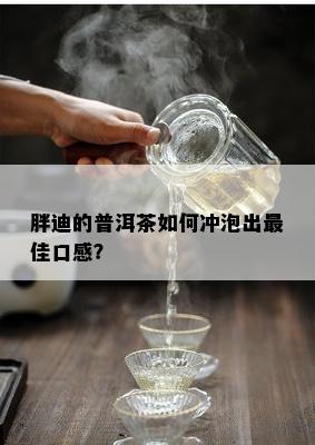 胖迪的普洱茶如何冲泡出更佳口感？