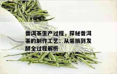 普洱茶生产过程，探秘普洱茶的制作工艺：从采摘到发酵全过程解析