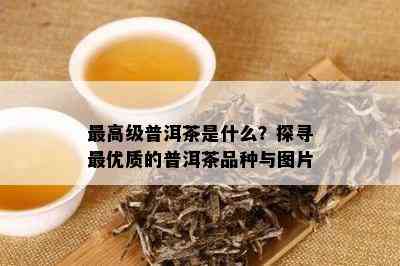 更高级普洱茶是什么？探寻更优质的普洱茶品种与图片