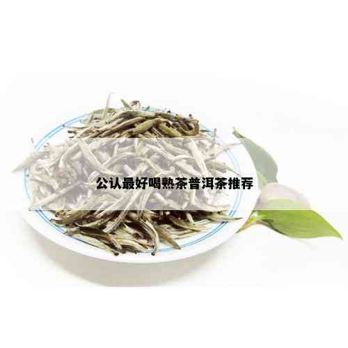 公认更好喝熟茶普洱茶推荐