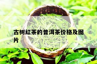 古树红茶的普洱茶价格及图片