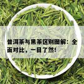 普洱茶与黑茶区别图解：全面对比，一目了然！