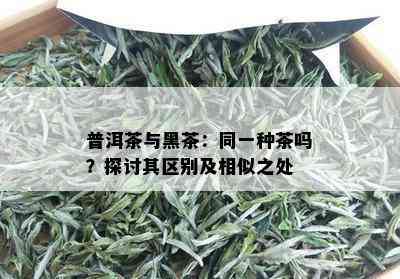 普洱茶与黑茶：同一种茶吗？探讨其区别及相似之处