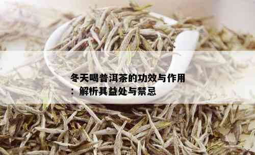 冬天喝普洱茶的功效与作用：解析其益处与禁忌