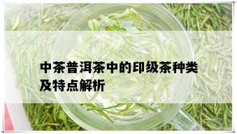 中茶普洱茶中的印级茶种类及特点解析