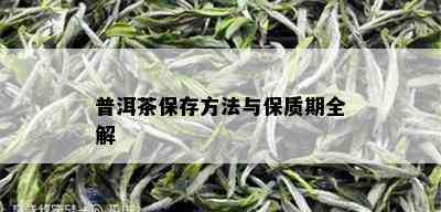 普洱茶保存方法与保质期全解