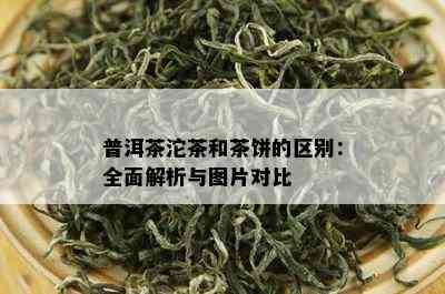 普洱茶沱茶和茶饼的区别：全面解析与图片对比