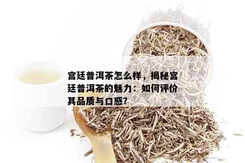 宫廷普洱茶怎么样，揭秘宫廷普洱茶的魅力：如何评价其品质与口感？