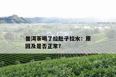 普洱茶喝了拉肚子拉水：原因及是否正常？