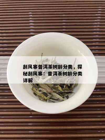 刮风寨普洱茶树龄分类，探秘刮风寨：普洱茶树龄分类详解