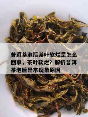 普洱茶泡后茶叶软烂是怎么回事，茶叶软烂？解析普洱茶泡后异常现象原因