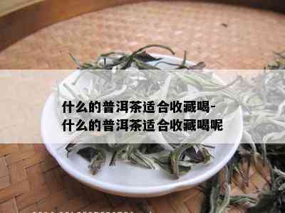 什么的普洱茶适合收藏喝-什么的普洱茶适合收藏喝呢