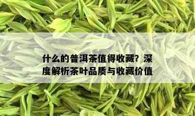 什么的普洱茶值得收藏？深度解析茶叶品质与收藏价值