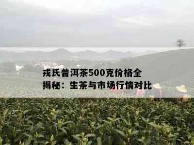 戎氏普洱茶500克价格全揭秘：生茶与市场行情对比