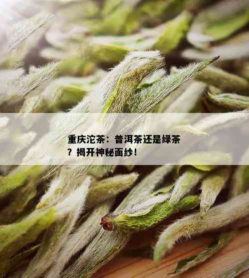 重庆沱茶：普洱茶还是绿茶？揭开神秘面纱！