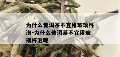 为什么普洱茶不宜用玻璃杯泡-为什么普洱茶不宜用玻璃杯泡呢