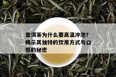 普洱茶为什么要高温冲泡？揭示其独特的饮用方式与口感的秘密