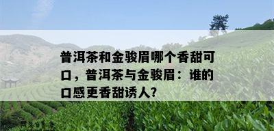 普洱茶和金骏眉哪个香甜可口，普洱茶与金骏眉：谁的口感更香甜诱人？