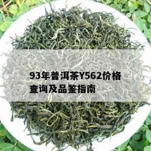 93年普洱茶Y562价格查询及品鉴指南