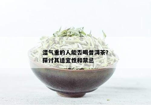 湿气重的人能否喝普洱茶？探讨其适宜性和禁忌