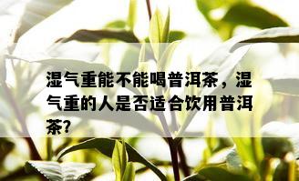 湿气重能不能喝普洱茶，湿气重的人是否适合饮用普洱茶？