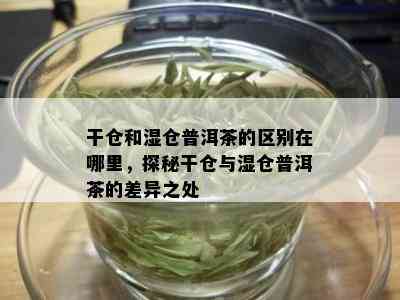 干仓和湿仓普洱茶的区别在哪里，探秘干仓与湿仓普洱茶的差异之处