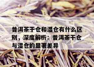 普洱茶干仓和湿仓有什么区别，深度解析：普洱茶干仓与湿仓的显著差异