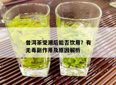 普洱茶受潮后能否饮用？有无副作用及原因解析