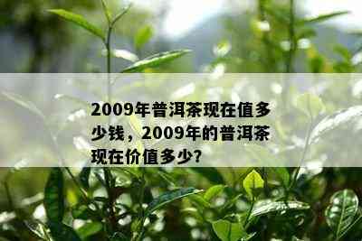 2009年普洱茶现在值多少钱，2009年的普洱茶现在价值多少？