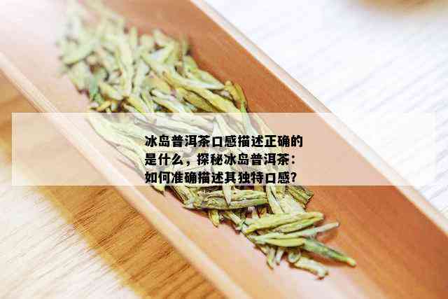 冰岛普洱茶口感描述正确的是什么，探秘冰岛普洱茶：如何准确描述其独特口感？